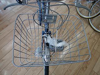 ギムレットジュニア オート/前かご