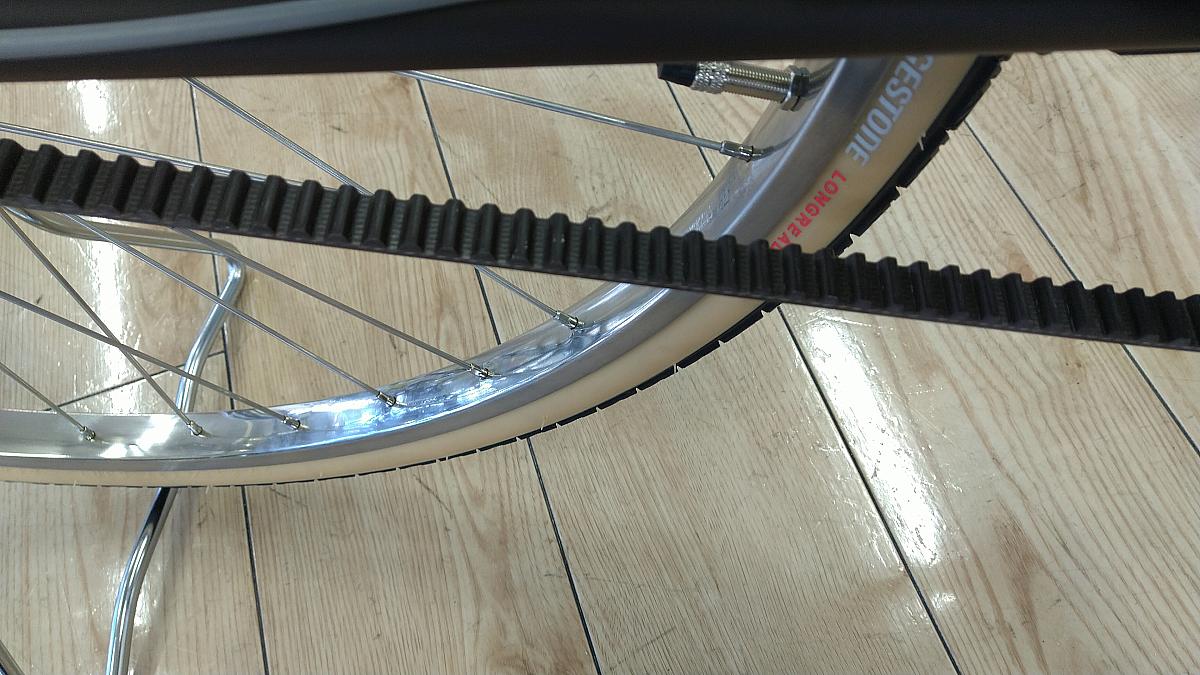 カジュナ ベルト　ベーシックライン/ベルト