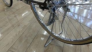 カジュナ ベルト　ベーシックライン/両立スタンド