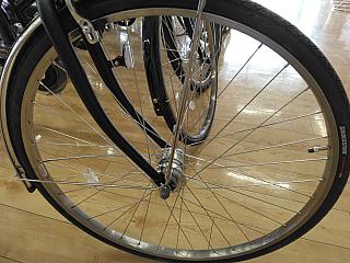 ステップクルーズ　ベルト/ステンレスリム（ステンレススポーク）