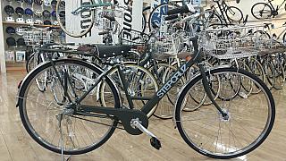 ステップクルーズ　ベルト/マットカーキ