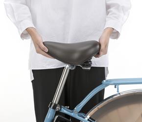 ティモ・DX/サドルガードマン