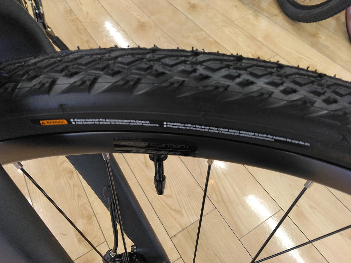 REVOLT 2/タイヤ：７００X３８C（チューブレスレディ）