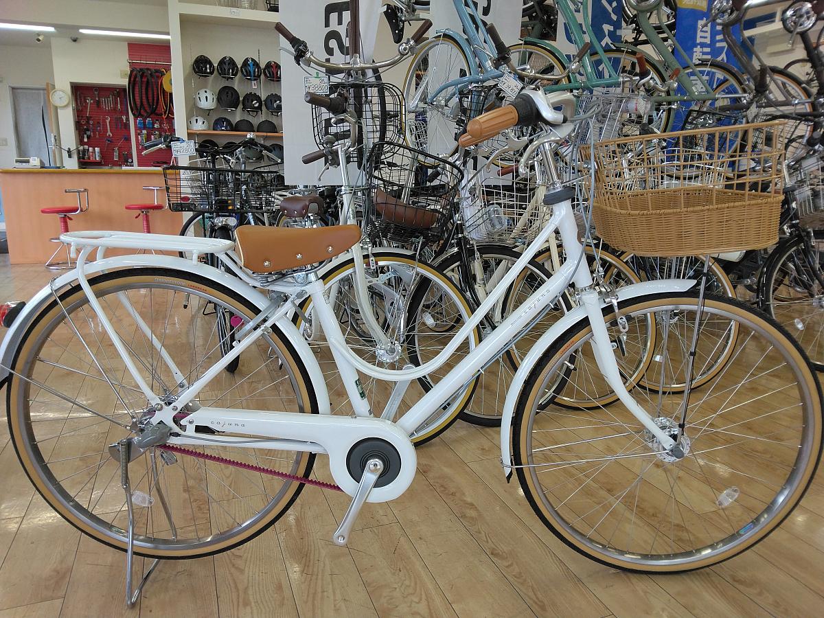 カジュナ　ベルト　スイートライン/ピュアホワイト