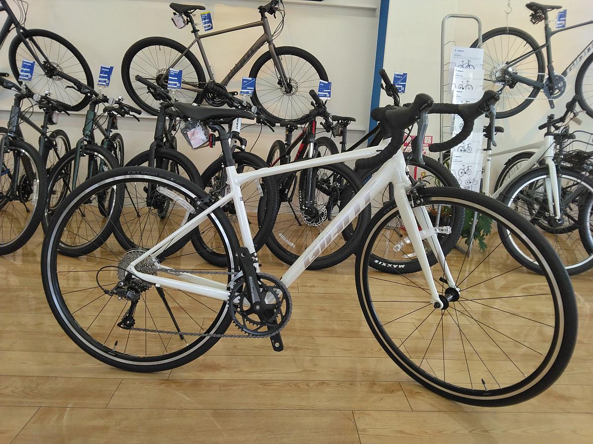 CONTEND ３　２０２６年モデル/リッチホワイト